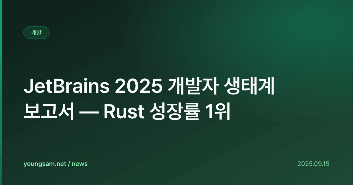 JetBrains 2025 개발자 생태계 보고서 — Rust 성장률 1위