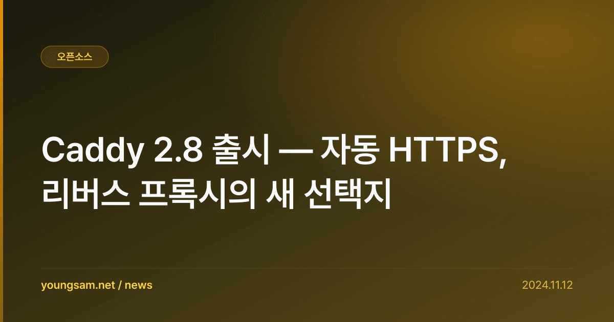 Caddy 2.8 출시 — 자동 HTTPS, 리버스 프록시의 새 선택지