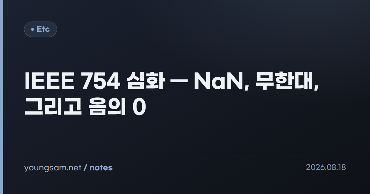 IEEE 754 심화 — NaN, 무한대, 그리고 음의 0